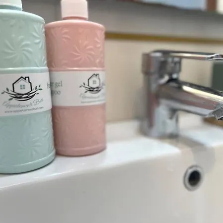 Clemma House アパート バーリ